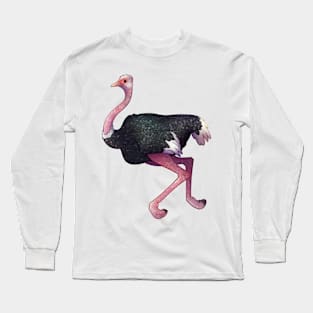 Cozy Ostrich Long Sleeve T-Shirt